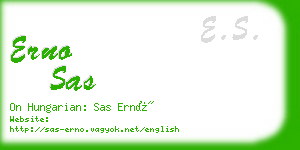 erno sas business card